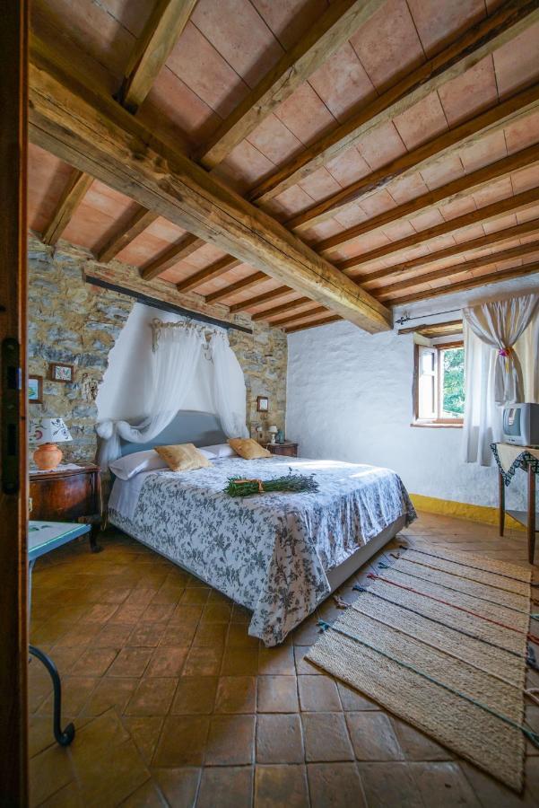 باني سان فيليبو Agriturismo La Colombella المظهر الخارجي الصورة