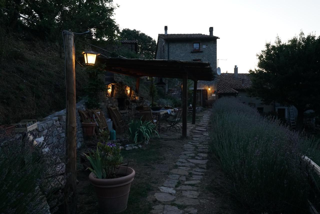 باني سان فيليبو Agriturismo La Colombella المظهر الخارجي الصورة