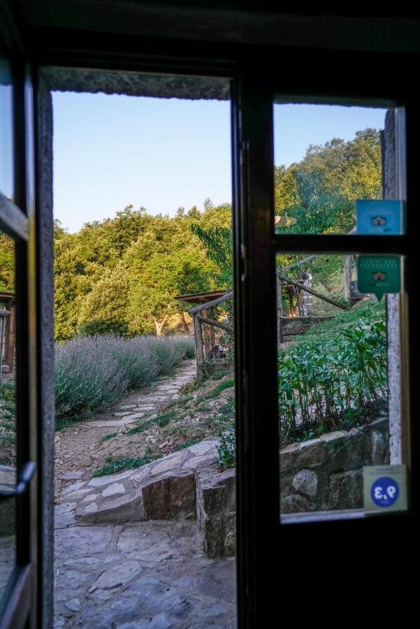 باني سان فيليبو Agriturismo La Colombella المظهر الخارجي الصورة