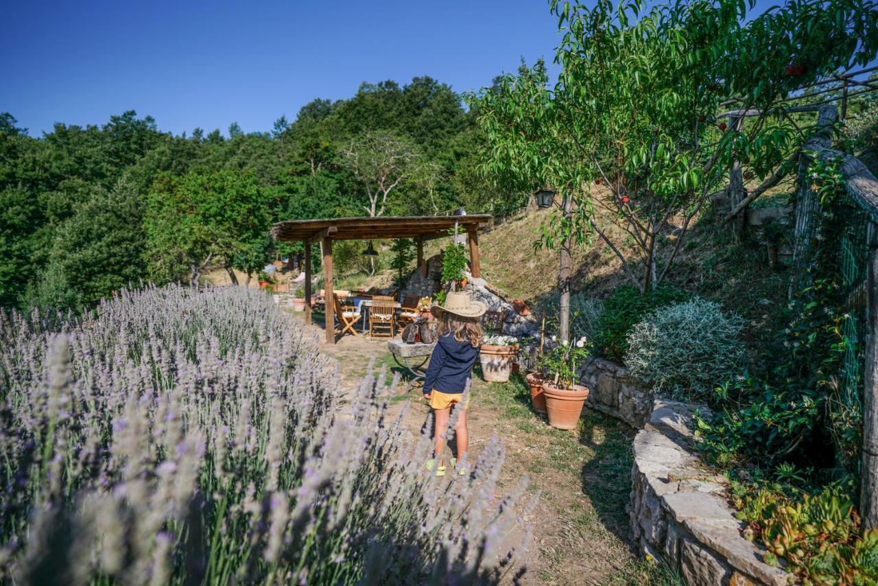 باني سان فيليبو Agriturismo La Colombella المظهر الخارجي الصورة