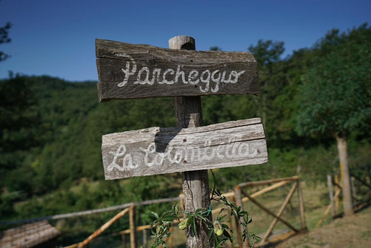 باني سان فيليبو Agriturismo La Colombella المظهر الخارجي الصورة