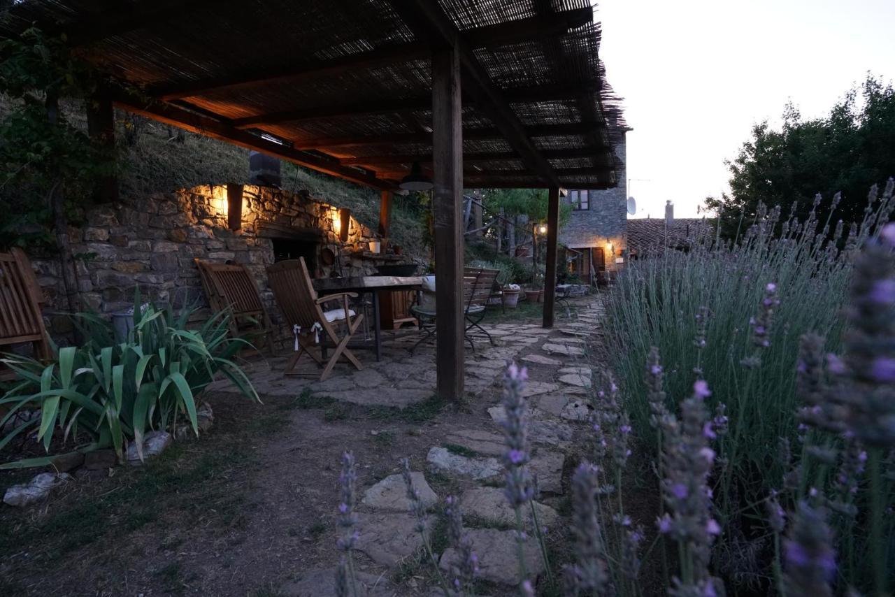 باني سان فيليبو Agriturismo La Colombella المظهر الخارجي الصورة