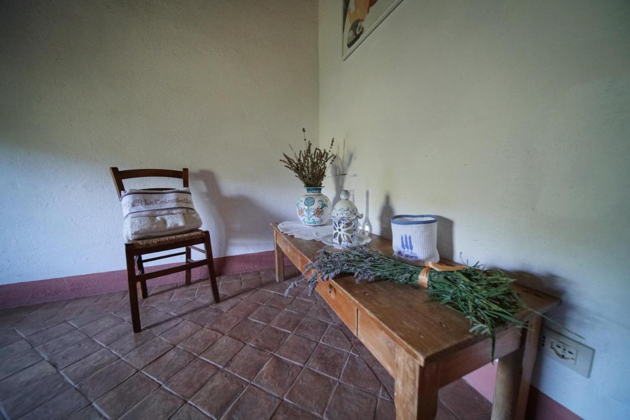 باني سان فيليبو Agriturismo La Colombella المظهر الخارجي الصورة