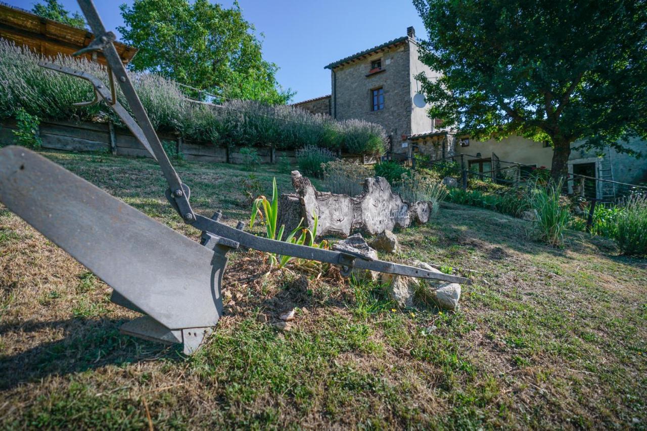 باني سان فيليبو Agriturismo La Colombella المظهر الخارجي الصورة